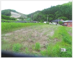  2025Ÿ��50698 ���� ��õ�� ���� �Ⱥ��� 243-1      ����(��)���