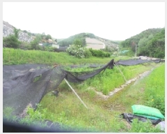  2025Ÿ��50698 ���� ��õ�� ���� �Ⱥ��� 243-1      ����(��)���