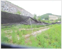  2025Ÿ��50698 ���� ��õ�� ���� �Ⱥ��� 243-1      ����(��)���