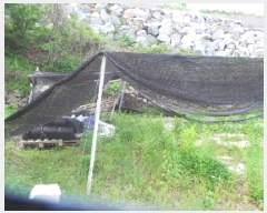  2025Ÿ��50698 ���� ��õ�� ���� �Ⱥ��� 243-1      ����(��)���