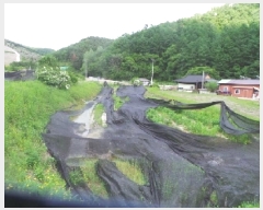  2025Ÿ��50698 ���� ��õ�� ���� �Ⱥ��� 243-1      ����(��)���