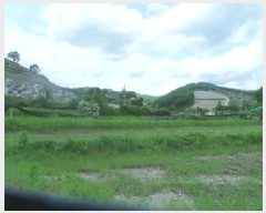  2025Ÿ��50698 ���� ��õ�� ���� �Ⱥ��� 243-1      ����(��)���