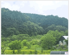  2025Ÿ��50702  �����