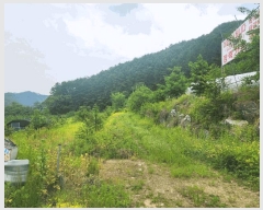  2025Ÿ��50702  �����