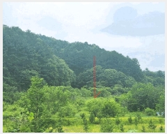  2025Ÿ��50702  �����