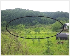  2025Ÿ��50702  �����