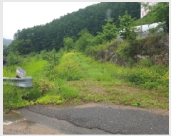  2025Ÿ��50702  �����