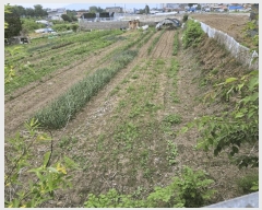  2025Ÿ��50710 ���� ��õ�� ��� 479-23       ����(��1)���