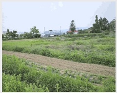  2025Ÿ��50710 ���� ��õ�� ��� 479-23       ����(��1)���