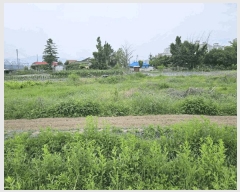  2025Ÿ��50710 ���� ��õ�� ��� 479-23       ����(��1)���