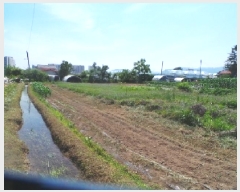  2025Ÿ��50710 ���� ��õ�� ��� 479-23       ����(��1)���