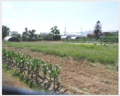  2025Ÿ��50710 ���� ��õ�� ��� 479-23       ����(��1)���