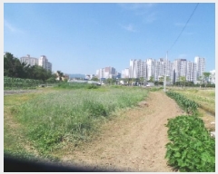  2025Ÿ��50710 ���� ��õ�� ��� 479-23       ����(��1)���