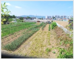  2025Ÿ��50710 ���� ��õ�� ��� 479-23       ����(��1)���