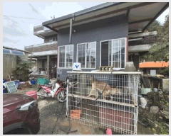  2025Ÿ50721  ȭõ 系  329-14      ð