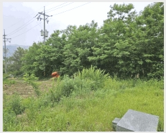  2025Ÿ��50730  ����