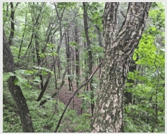  2025Ÿ��50730  ����