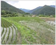  2025Ÿ��50730  ����