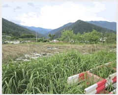  2025Ÿ��50730  ����