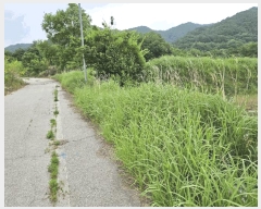  2025Ÿ��50730  ����