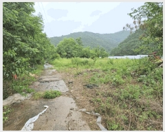  2025Ÿ��50730  ����