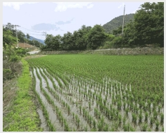  2025Ÿ��50730  ����