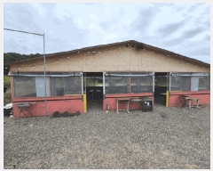  2025Ÿ50746  õ  ŵθ 280-1      (ķ)