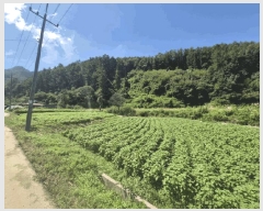  2025Ÿ��50762  �Ӿ߰��