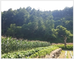  2025Ÿ��50762  �Ӿ߰��