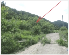  2025Ÿ��50765 ���� ȫõ�� ���� ��� 216-2      ����(����)���