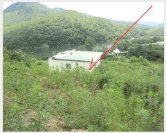  2025Ÿ��50765 ���� ȫõ�� ���� ��� 216-2      ����(����)���