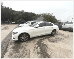  2025Ÿ��50779  �������