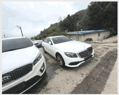  2025Ÿ��50779  �������