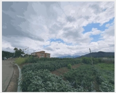  2025Ÿ��50798 ���� ȫõ�� ������ ǳ�ϸ� 292      ����(��1)���