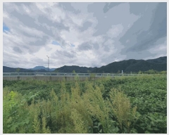  2025Ÿ��50798 ���� ȫõ�� ������ ǳ�ϸ� 292      ����(��1)���