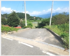  2025Ÿ��50798 ���� ȫõ�� ������ ǳ�ϸ� 292      ����(��1)���