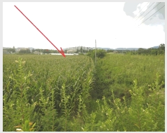  2025Ÿ50814  õ ε 340-63       (1)