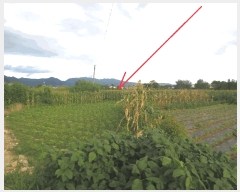  2025Ÿ50814  õ ε 340-63       (1)