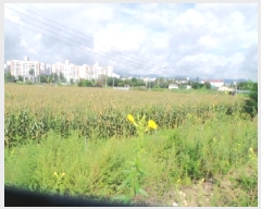  2025Ÿ50814  õ ε 340-63       (1)