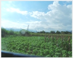  2025Ÿ50814  õ ε 340-63       (1)