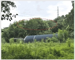  2025Ÿ��50834  �����