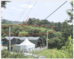  2025Ÿ��50834  �����