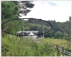  2025Ÿ��50834  �����