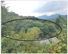  2025Ÿ��50834  �����