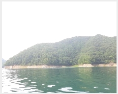  2025Ÿ��50838  �Ӿ߰��