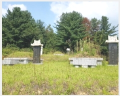  2025Ÿ��50842 ���� ��õ�� �ŵ��� ������ ��199      ����(�Ӿ�)���