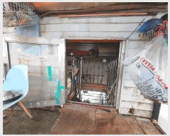  2025Ÿ��50846 ���� ������ �ϸ� ���븮 677      �ܵ�����,�����ð��