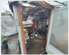  2025Ÿ��50846 ���� ������ �ϸ� ���븮 677      �ܵ�����,�����ð��