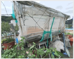  2025Ÿ��50846 ���� ������ �ϸ� ���븮 677      �ܵ�����,�����ð��