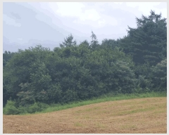  2025Ÿ��50849  �����